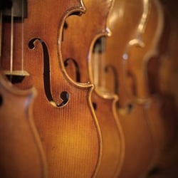 Kamimoto String Instruments