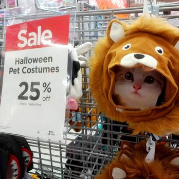 Michaels - Michaels Newtown Square, PA -- cat costumes - Arts & Crafts Near Me - Newtown Square, Pennsylvania