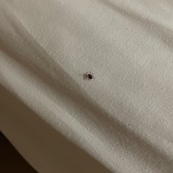 Econo Lodge - TICK! NO THANK YOU LYME DISEASE!