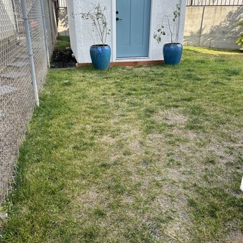 Garden Worx Landscapes - Before photo - Landscaping Near Me