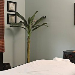 Elite Chiropractic Center