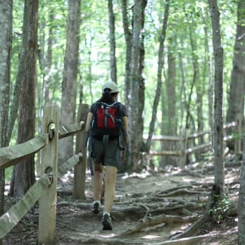 Eno River State Park - Hiking along the Cox Mtn Trail (right before the suspension bridge across the river) - Parks Near Me - Durham, North Carolina