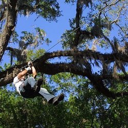 Zip Line - Adventure Madrid