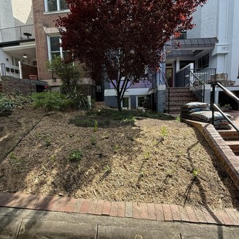 Bona Terra - Landscaping Near Me - Washington, DC, District of Columbia Bona Terra - Landscaping Near Me - Washington, DC, District of Columbia