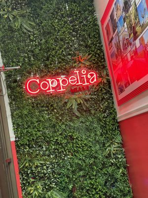Miami Coppelia Ice Cream by null