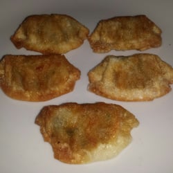 Takami - Yaki Gyoza knusprige Teigtaschen