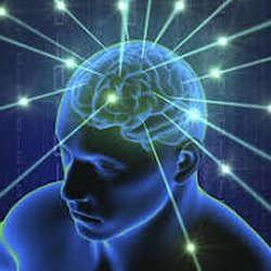 Mary Lanyon Fay Elementary School - big brain
