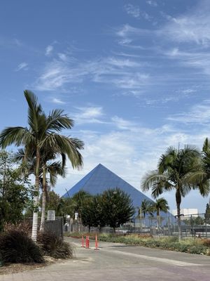 California State University Long Beach by null