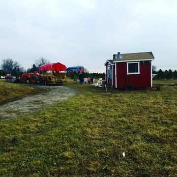 Jurek Christmas Tree Farm 14 Photos Christmas Trees 6600 Strickler Rd Clarence Ny Phone Number Yelp