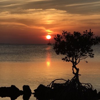 Marker 88 - Amazing sunset view!!! - Seafood Near Me - Islamorada, Florida Marker 88 - Amazing sunset view!!! - Seafood Near Me - Islamorada, Florida