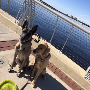 Oceans K9 Dog Training - Baxter & Wrigley Downtown Ft Meyers - Pet Training Near Me - Naples, Florida