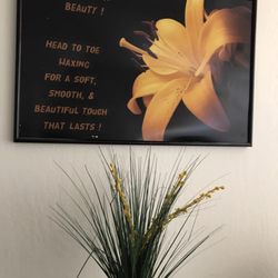 Skin Benefits