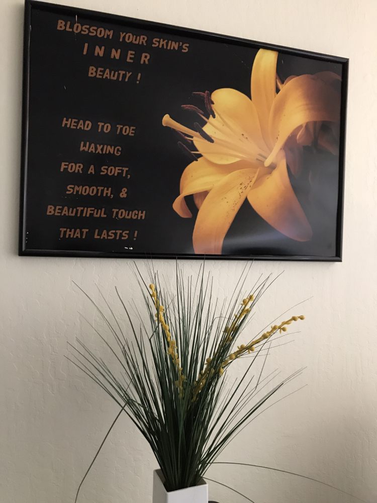 Skin Benefits Logo