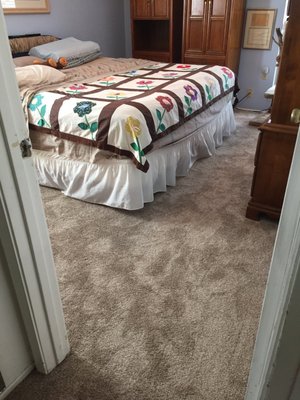 GREEN CARPET - Updated August 2025 - 8480 Fourwinds Dr, San