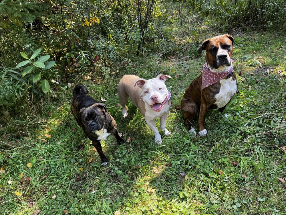 MUSKOKA TAIL WALKER Updated October 2024 Request a Quote 28