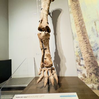 Royal Tyrrell Museum - Museums Near Me - Drumheller, Alberta Royal Tyrrell Museum - Museums Near Me - Drumheller, Alberta