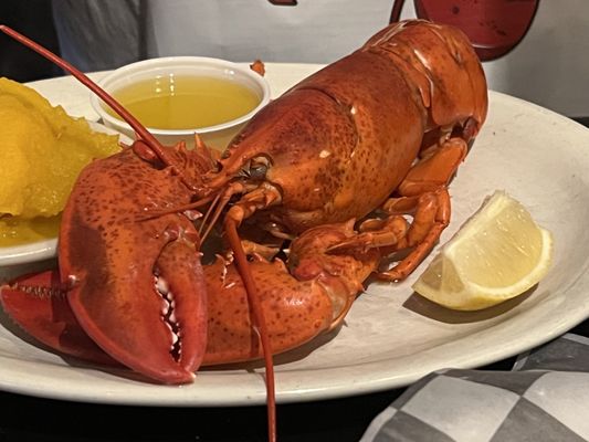 Lobster Trap by null