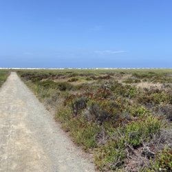 Tijuana River National Estuarine Research Reserve