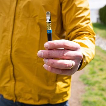 Northeast Alternatives Dispensary - Seekonk - Cannabis Dispensaries Near Me - Seekonk, Massachusetts Northeast Alternatives Dispensary - Seekonk - Cannabis Dispensaries Near Me - Seekonk, Massachusetts