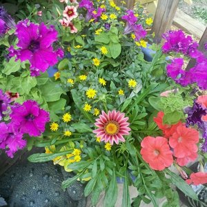 SARGENT’S ON 2ND - Updated March 2026 - 153 Photos & 11 Reviews - 1811 ...