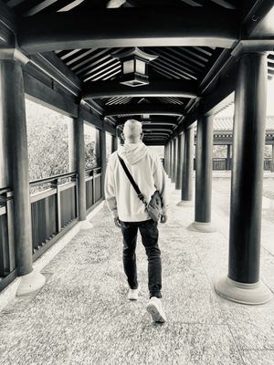 Tsz Shan Monastery by null