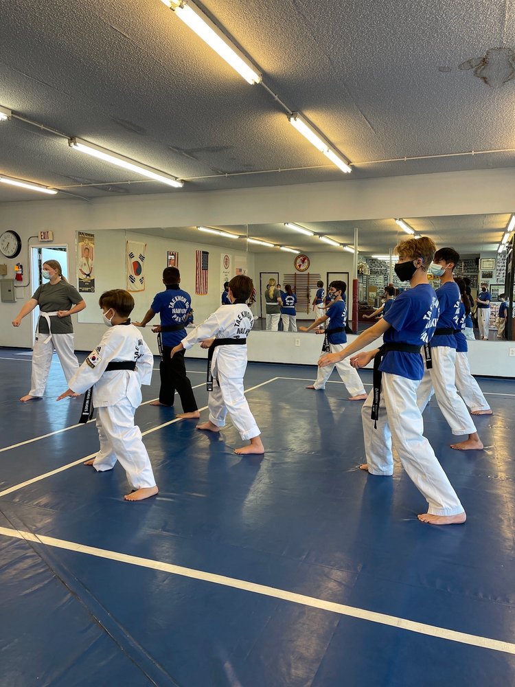 Pan Am Tae Kwon Do Academy Logo