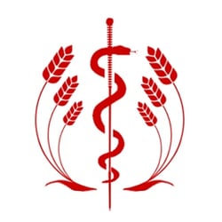 NY Acutherapy in Brooklyn gift card