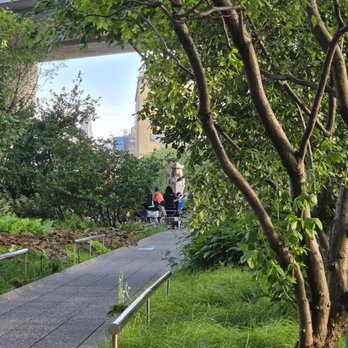 The High Line - Fitness class - Parks Near Me - New York, New York