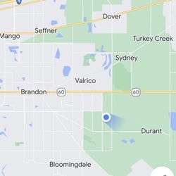 City of Valrico