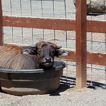 Nova Wild - Petting Zoos Near Me - Vienna, Virginia