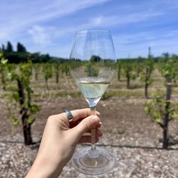 BACA Wines - Champagne