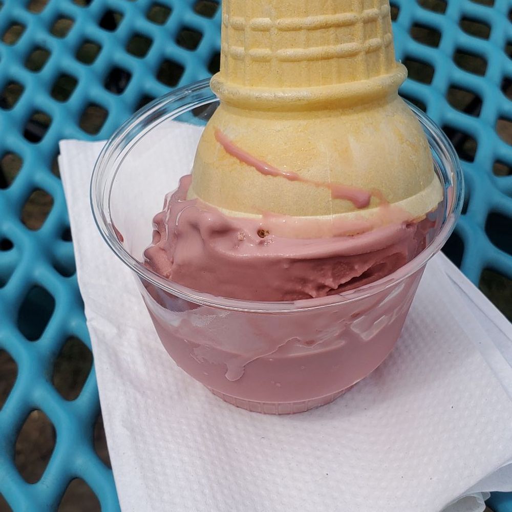 Sweet Emilia's Ice Cream - an ice cream cone in a bowl - Desserts Near Me - Buffalo, New York Sweet Emilia's Ice Cream - an ice cream cone in a bowl - Desserts Near Me - Buffalo, New York