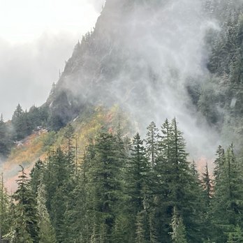 Evergreen Escapes - Tours Near Me - Seattle, Washington