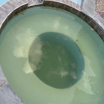 Pinch A Penny - This is the pool right after they clean it - Pool & Hot Tub Service Near Me - Houston, Texas Pinch A Penny - This is the pool right after they clean it - Pool & Hot Tub Service Near Me - Houston, Texas