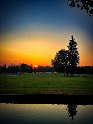 Bellevue Downtown Park by null