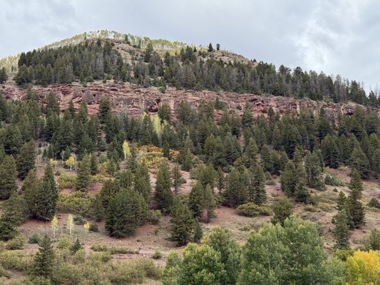 The Hotel Telluride by null