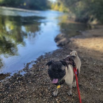 Knights Ferry Recreation Area - Parks Near Me - Oakdale, California