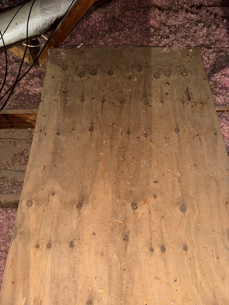 Slide of Byrd On The Roof