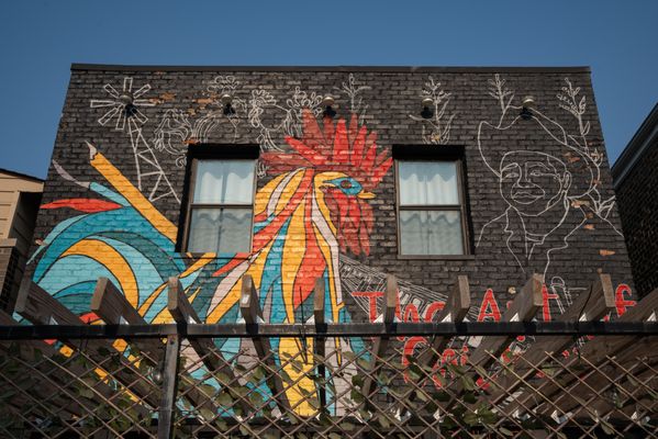 The Art of Chicken by null