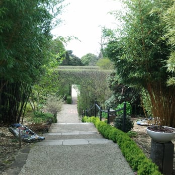 Cloudehill Garden & Nursery - Nurseries & Gardening Near Me - Olinda, VIC