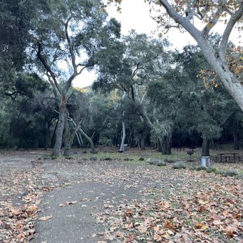 Nojoqui Falls County Park - Beginning of hike - Parks Near Me - Solvang, California Nojoqui Falls County Park - Beginning of hike - Parks Near Me - Solvang, California