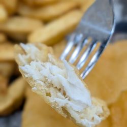 The Big Catch - Flaky halibut