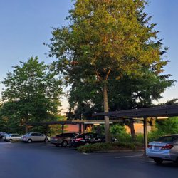 Timbers at Tualatin by FPI Management - The clean and well-tended driveway.