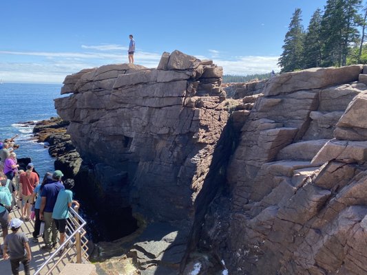 Acadia National Park Tours by null