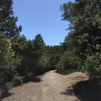 Stulsaft Park - Parks Near Me - Redwood City, California Stulsaft Park - Parks Near Me - Redwood City, California
