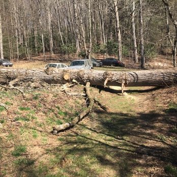 J&L Tree Service - Tree Services Near Me J&L Tree Service - Tree Services Near Me