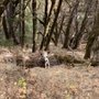 Photo of Tails N Trails 