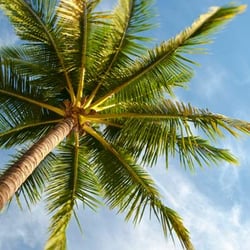 Linda Karp Insurance Services - Serving San Diego for over 20 years.
