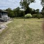 Photo of Reliable Lawn Care