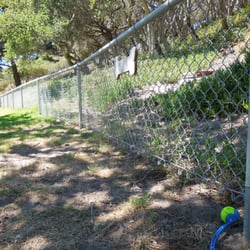 Del Rey Oaks Dog Park - Note large gap under fence at Del Rey Oaks.  This is often the case with this fence.  *Regular sized* Chuck-It for comparison.